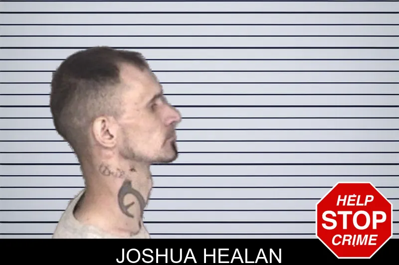 Joshua Healan mugshot