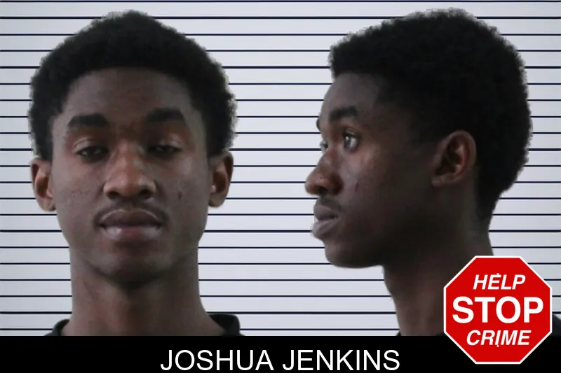 Joshua Jenkins mugshot – Houston County , Georgia Joshua Jenkins mugshot