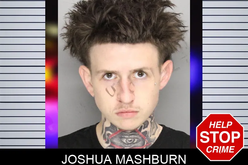 Joshua Mashburn mugshot