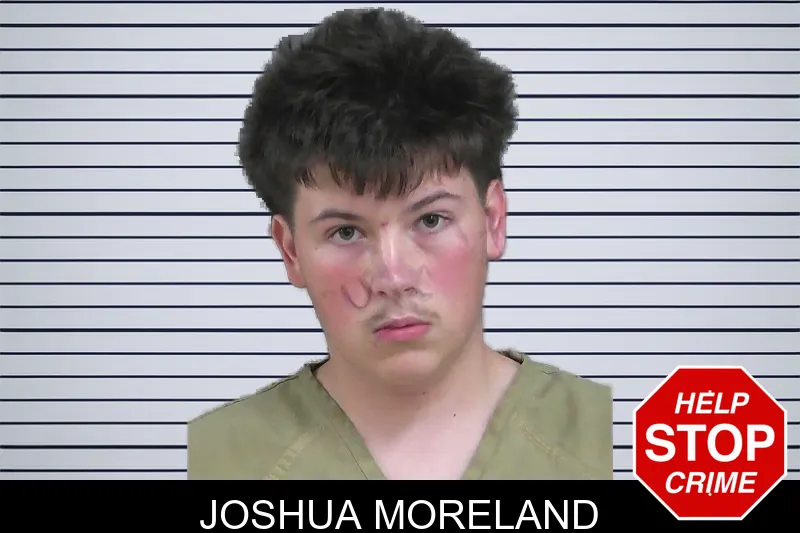 Joshua Moreland mugshot
