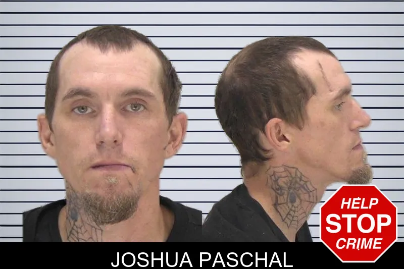 Joshua Paschal mugshot