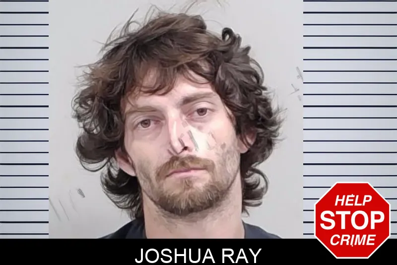 Joshua Ray mugshot