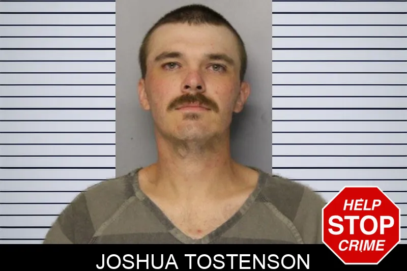 Joshua Tostenson mugshot