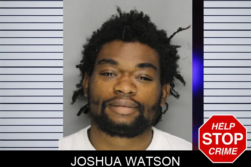 Joshua Watson mugshot