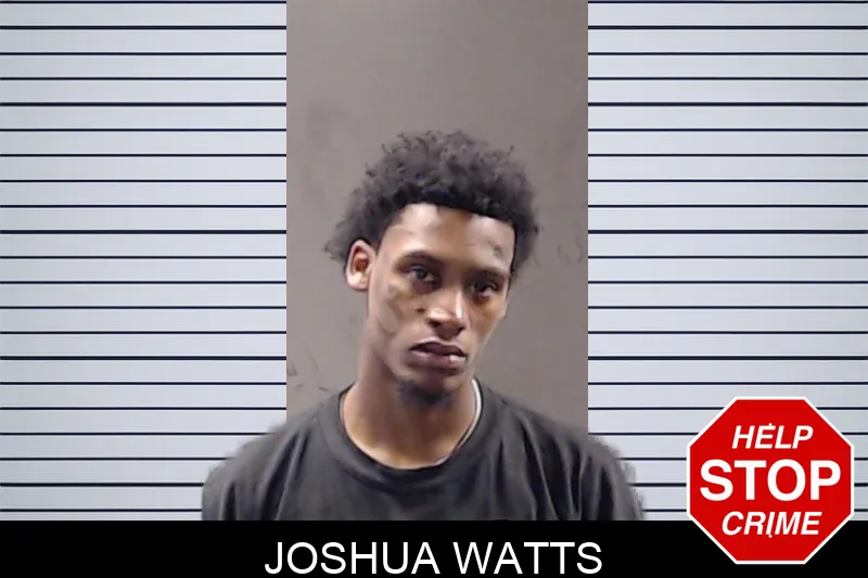 Joshua Watts mugshot