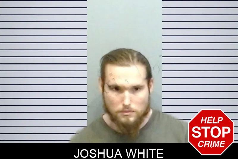 Joshua White mugshot – Fulton County , Georgia Joshua White mugshot