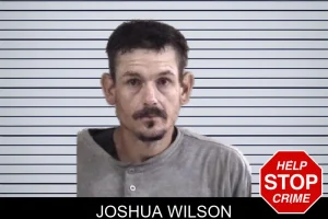Joshua Wilson mugshot