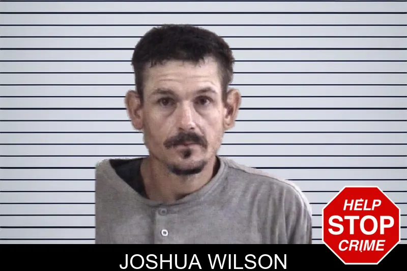 Joshua Wilson mugshot