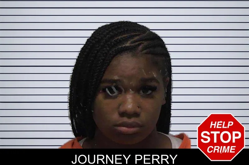 Journey Perry mugshot