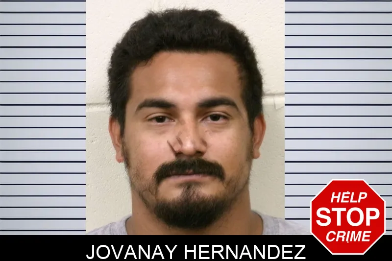 Jovanay Hernandez mugshot