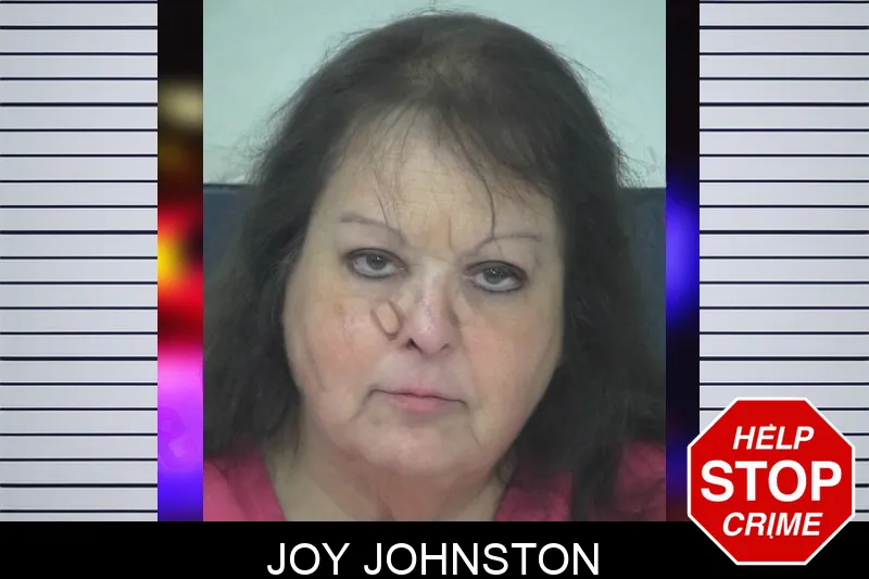 Joy Johnston mugshot