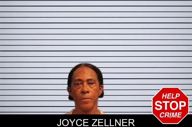 Joyce Zellner mugshot