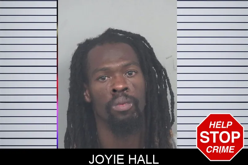Joyie Hall mugshot