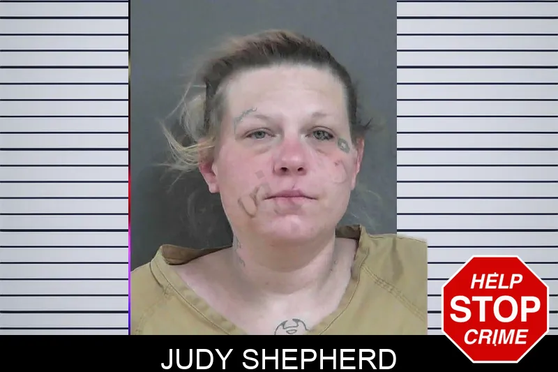 Judy Shepherd mugshot