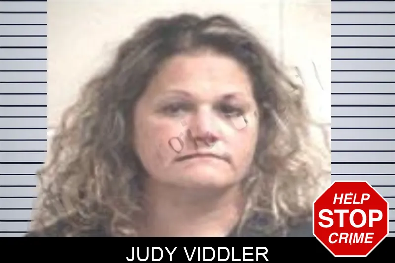 Judy Viddler mugshot