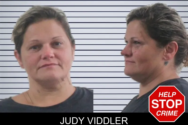 Judy Viddler mugshot