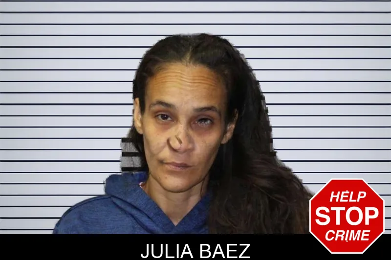 Julia Baez mugshot