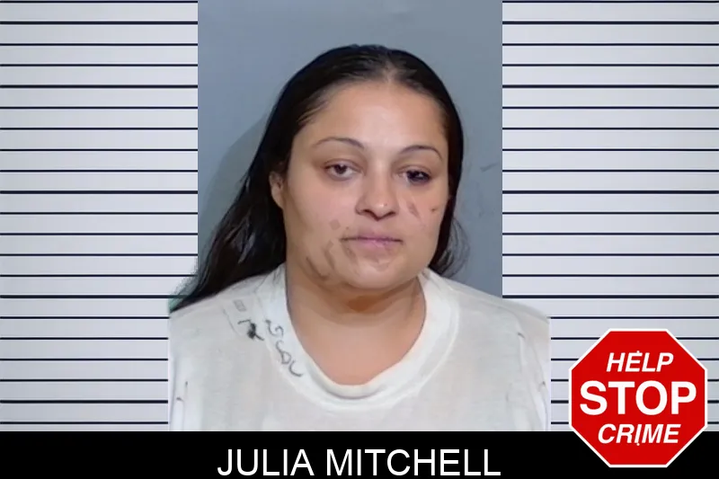 Julia Mitchell mugshot