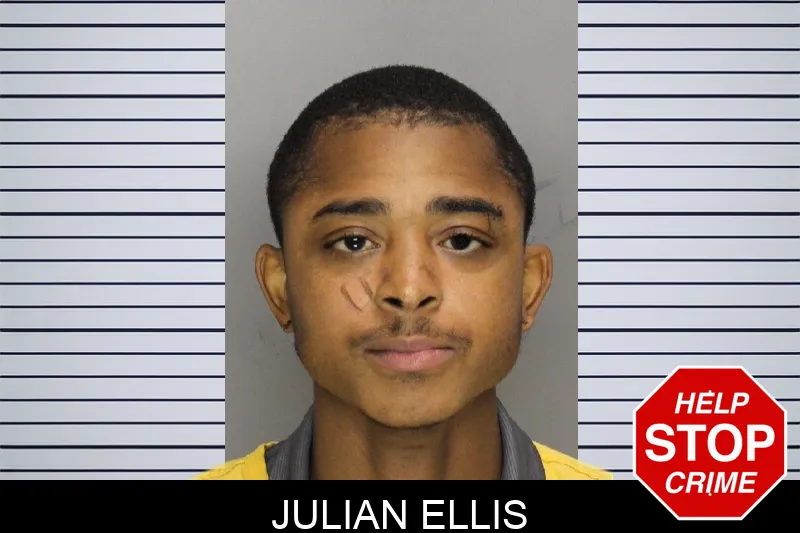 Julian Ellis mugshot – Cobb County , Georgia Julian Ellis mugshot