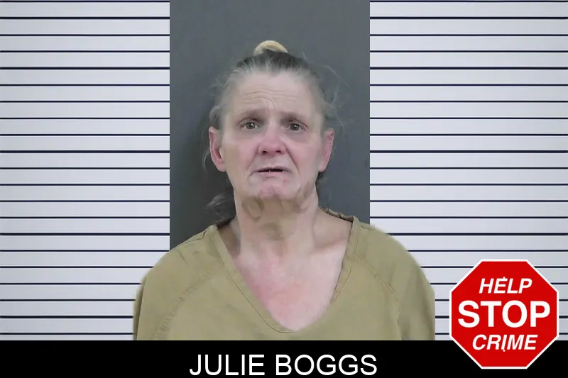 Julie Boggs mugshot – Gordon County , Georgia Julie Boggs mugshot