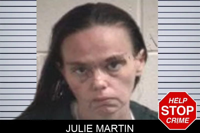Julie Martin mugshot