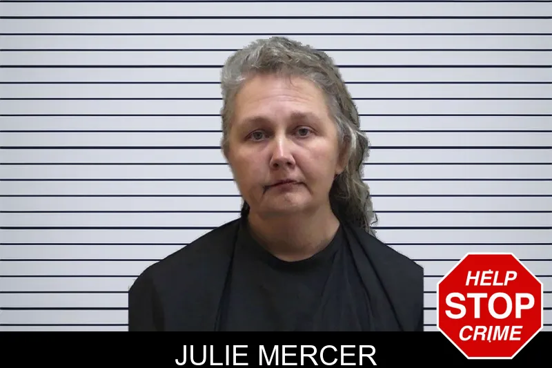 Julie Mercer mugshot