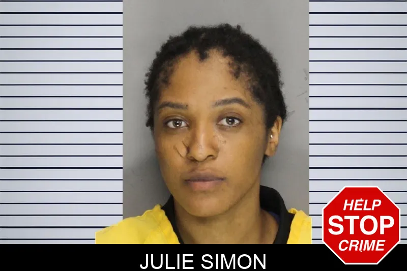 Julie Simon mugshot – Cobb County , Georgia Julie Simon mugshot