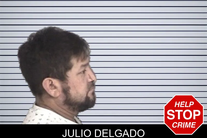 Julio Delgado mugshot
