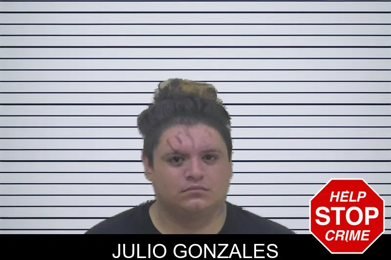 Julio Gonzales mugshot