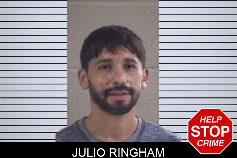 Julio Ringham mugshot