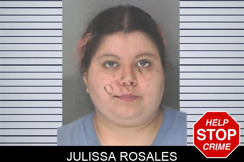Julissa Rosales mugshot