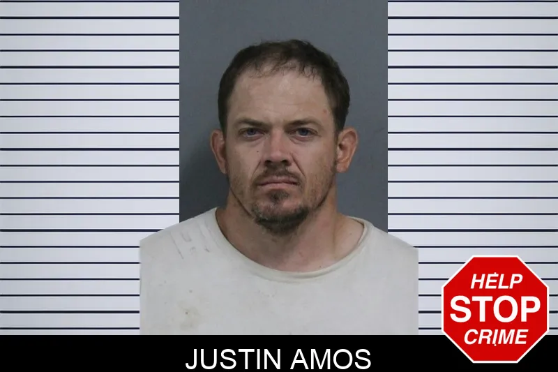 Justin Amos mugshot