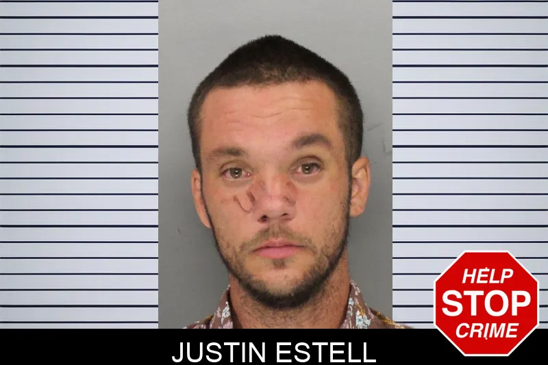 Justin Estell mugshot