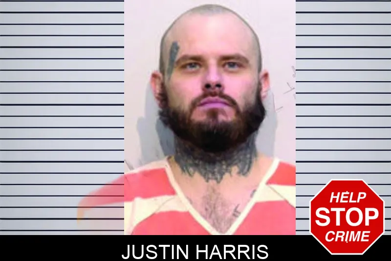 Justin Harris mugshot – Bartow County , Georgia Justin Harris mugshot