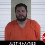 Justin Haynes mugshot – Fannin County , Georgia Justin Haynes mugshot