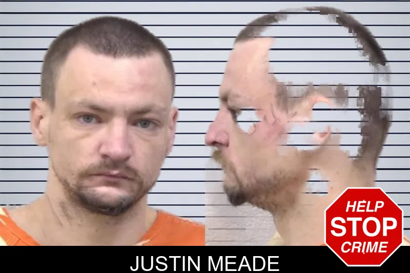 Justin Meade mugshot