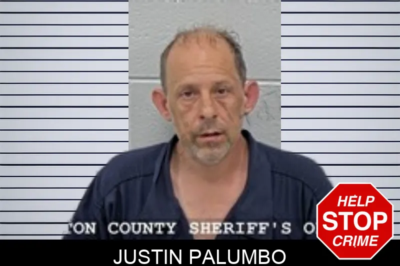 Justin Palumbo mugshot – Walton County , Georgia Justin Palumbo mugshot