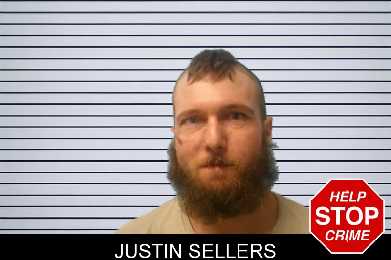 Justin Sellers mugshot – Franklin County , Georgia Justin Sellers mugshot