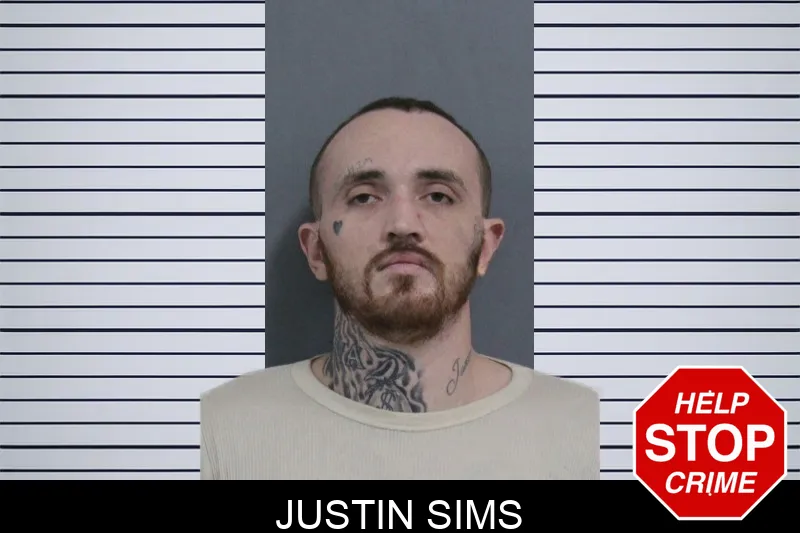 Justin Sims mugshot