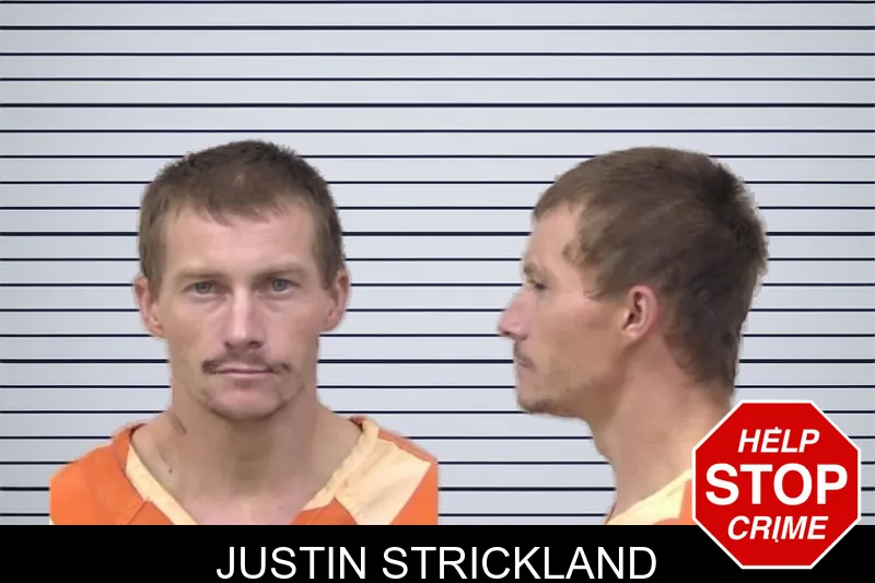 Justin Strickland mugshot