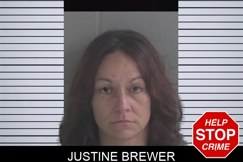 Justine Brewer mugshot – Brantley County , Georgia Justine Brewer mugshot