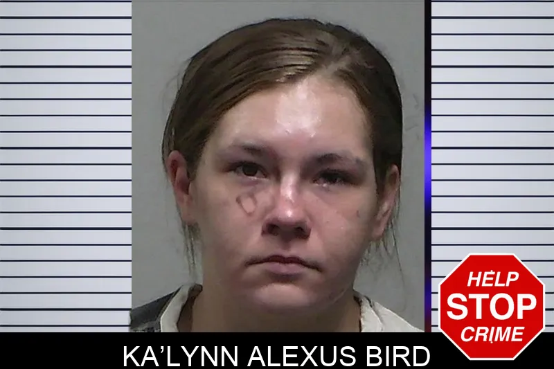 Ka’Lynn Alexus Bird mugshot