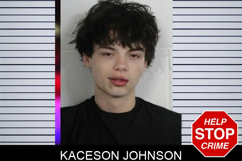Kaceson Johnson mugshot
