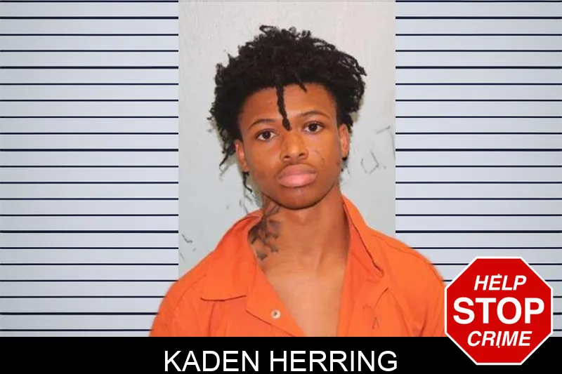 Kaden Herring mugshot
