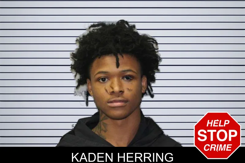 Kaden Herring mugshot