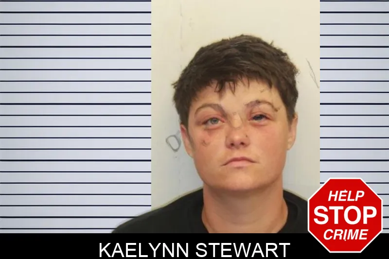 Kaelynn Stewart mugshot