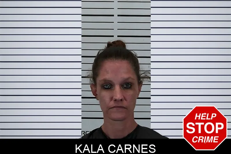 Kala Carnes mugshot