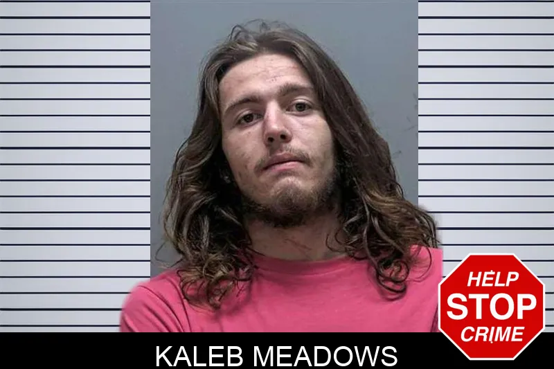 Kaleb Meadows mugshot
