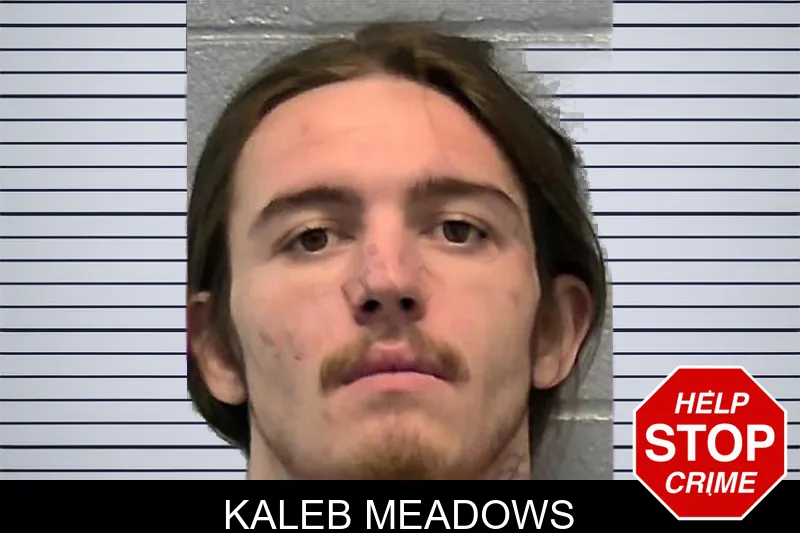 Kaleb Meadows mugshot – Ware County , Georgia Kaleb Meadows mugshot