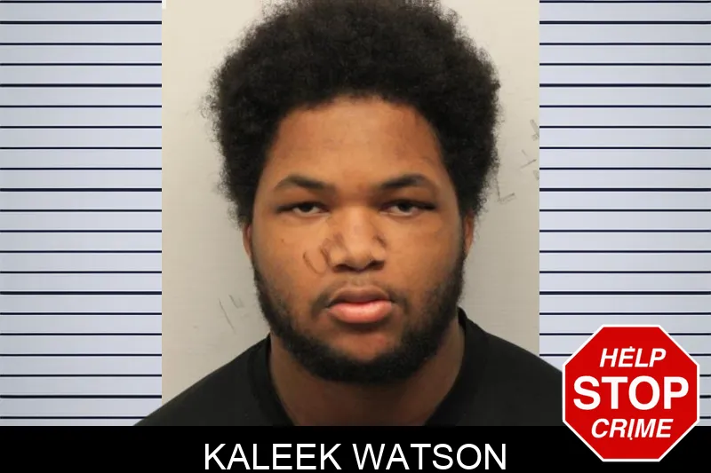 Kaleek Watson mugshot – Chatham County , Georgia Kaleek Watson mugshot